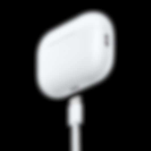 ECLAIRA Wireless Pods Pro — 2nd Gen USB-C Case