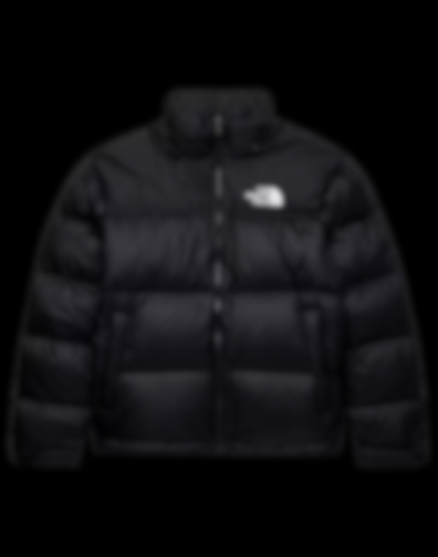 ECLAIRA NORTH PUFFER